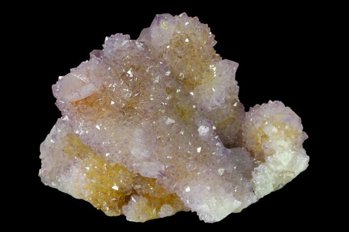 Cactus Quartz (Amethyst) Crystal Cluster - South Africa #137773